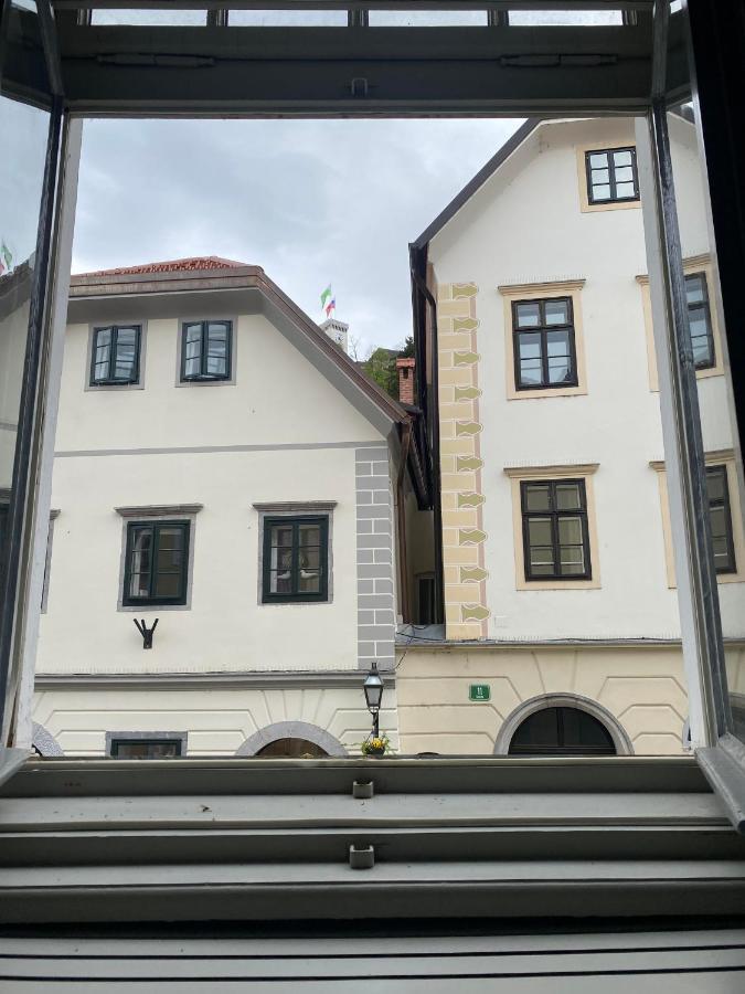 Vintage Charm Apartment Ljubljana Buitenkant foto